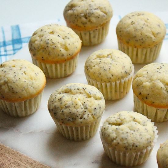Mini Lemon Poppyseed Muffins - Recipe photo by blessthismeal