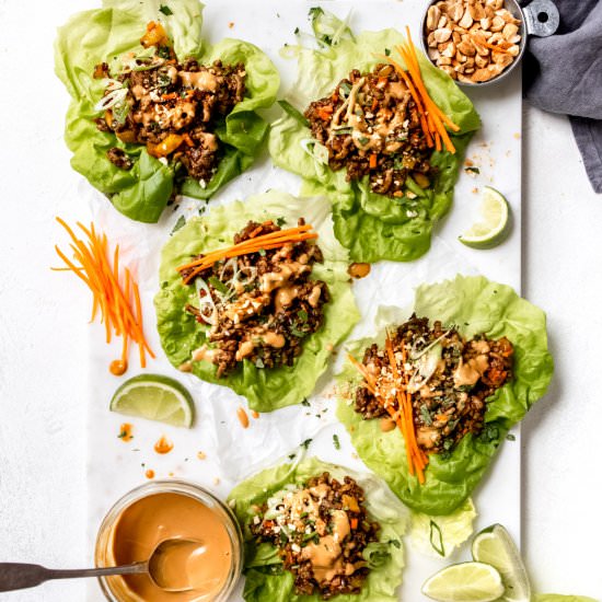 Saucy 30 Minute Pork Yuk Sung - Recipe photo by Salted Mint