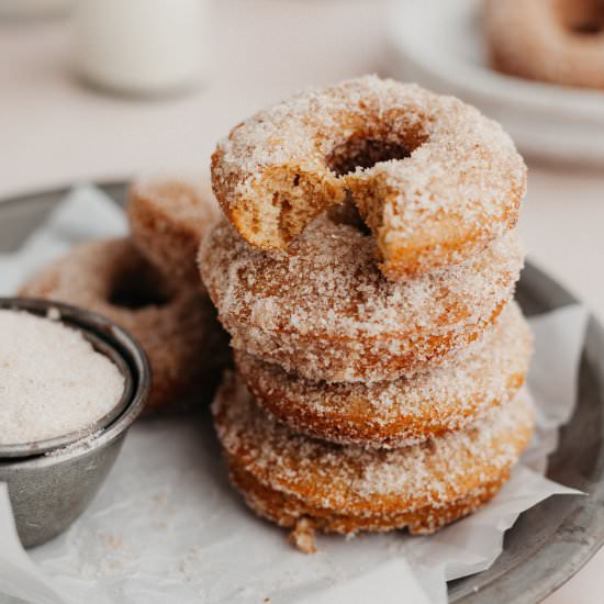 Cinnamon Sugar Donuts - Recipe photo by alpineella