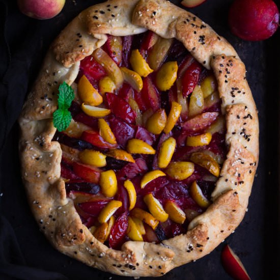 Plum Apricot Sourdough Galette - Recipe photo by Tashasartisanfoods