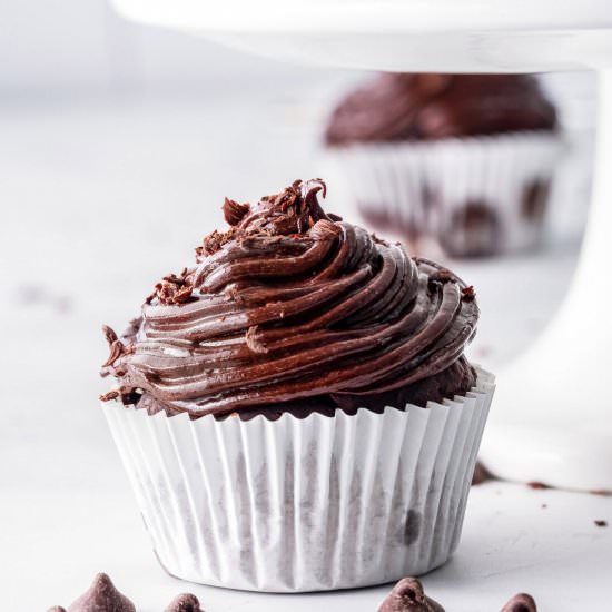 Double Chocolate Cupcakes - Recipe photo by amandascookin