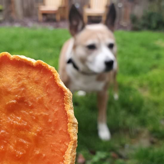 Sweet Potato Dog Chews - Recipe photo by For the Love of Cooking