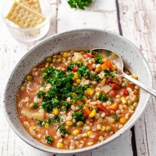 Vegetable Barley Soup - Recipe photo by Craftingafamily