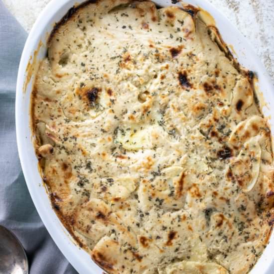cranberry parsnip gratin recipe - Recipe photo by The Frizzled Leek