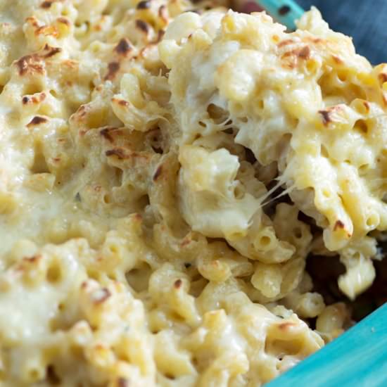 Brisket Macaroni and Cheese - Recipe photo by Barbara Curry