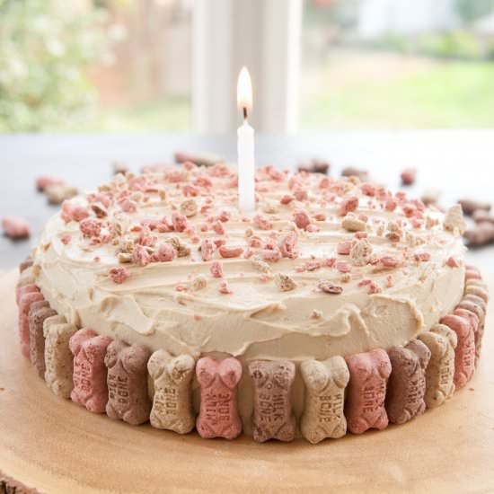 Dog Birthday Cake, No Nuts - Recipe photo by browniebites