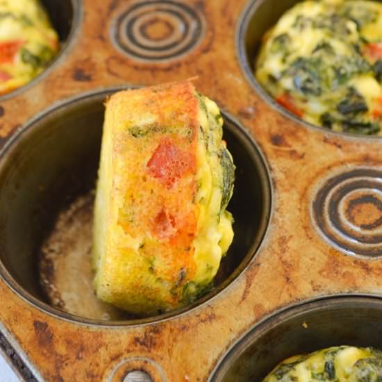 protein egg bites - Recipe photo by feastytravels
