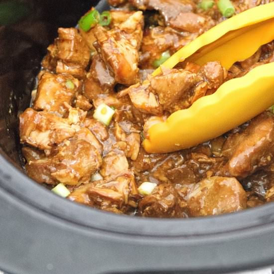Slow Cooker Teriyaki Chicken - Recipe photo by Fitasamamabear