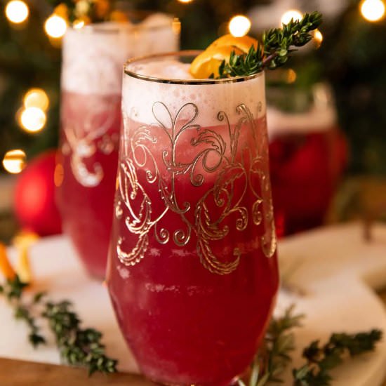Spiced Cranberry Gin Fizz - Recipe photo by Desserts And Drinks