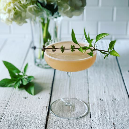 Grapefruit Martini - Recipe photo by Theperksofbeingus