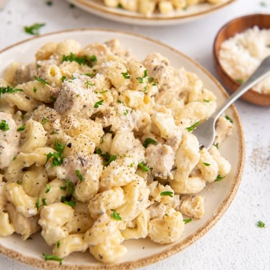 Instant Pot Creamy Chicken Pasta - Recipe photo by pumpkinnspice