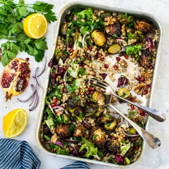 BRUSSELS SPROUT PEARL BARLEY SALAD - Recipe photo by theflexitarian