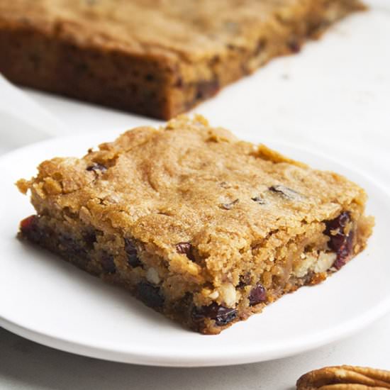 Cranberry-Pecan Blondies - Recipe photo by nancyc