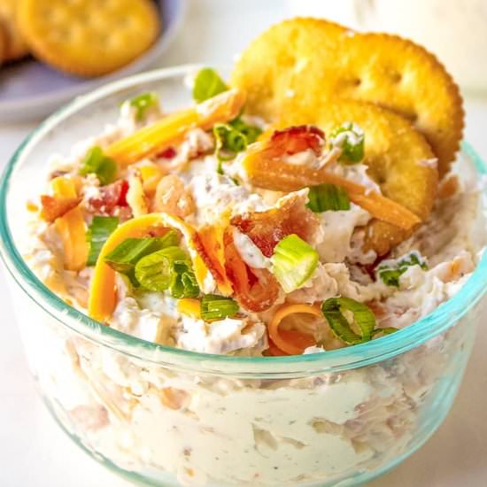 Crack Dip - Recipe photo by AllThingsMamma