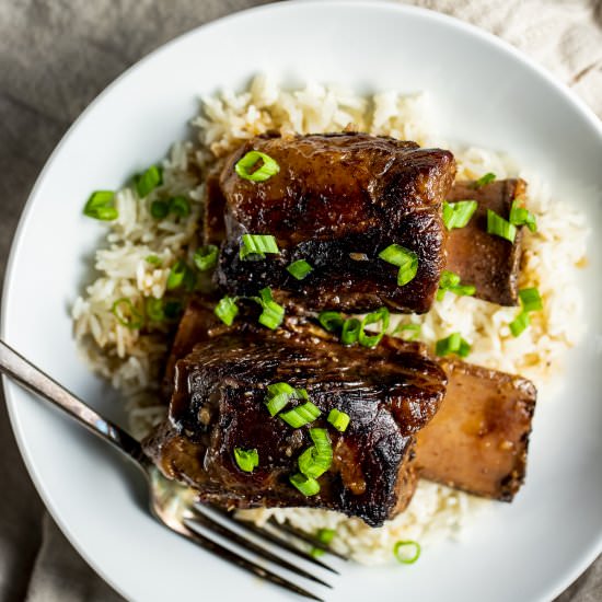 Sous Vide Short Ribs - Recipe photo by Went Here 8 This