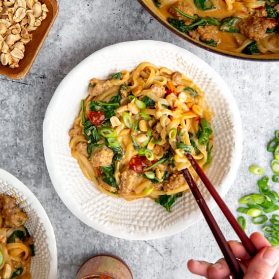 Spicy Peanut Pork Noodles - Recipe photo by FromScratchFast