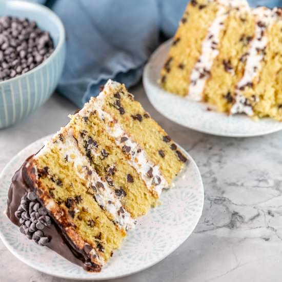 Chocolate Chip Layer Cake - Recipe photo by bunsenburnerbakery