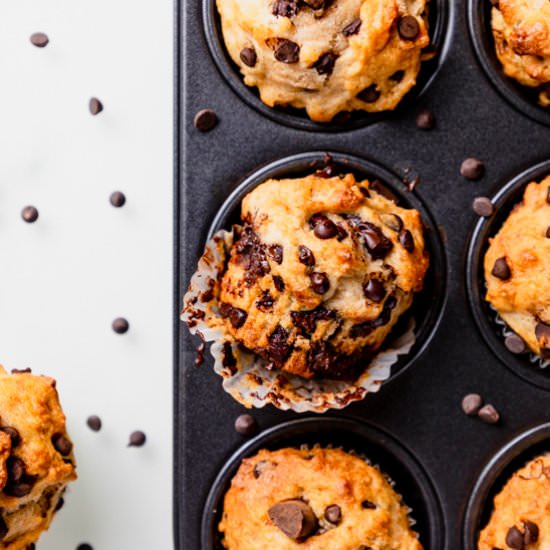 GF Chocolate Chip Muffins - Recipe photo by ScienceandCrumbs