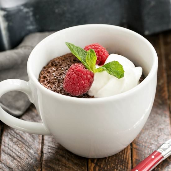 Chocolate Mug Cake - Recipe photo by thatskinnychickcanbake