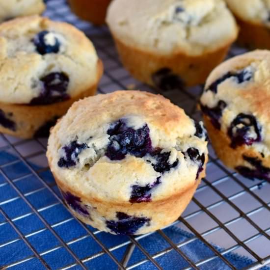 Blueberry Ricotta Muffins - Recipe photo by thisdelicioushouse