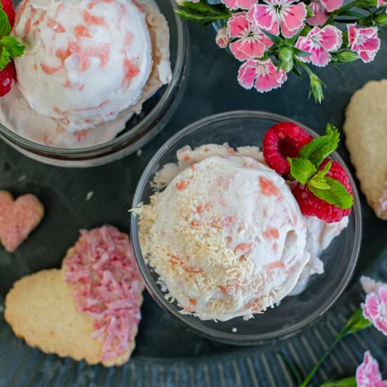 Vegan Grapefruit Sherbert - Recipe photo by a zest for life