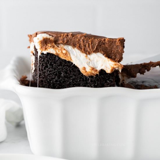 Mississippi Mud Cake - Recipe photo by owlbbaking