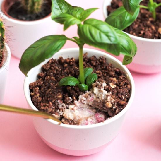 No Bake "Flowerpot" Cake - Recipe photo by mariateodorastefan