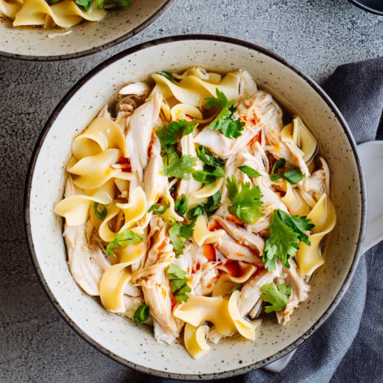 Spicy Chicken Noodle Soup - Recipe photo by PinchandSwirl