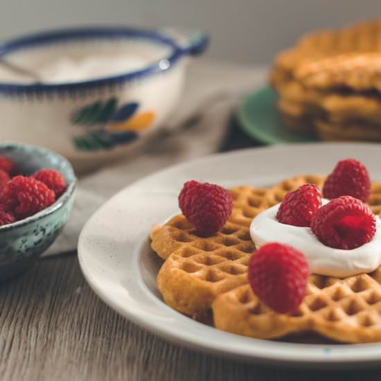 Crispy Vegan Cornmeal Waffles - Recipe photo by sweeterthanoats