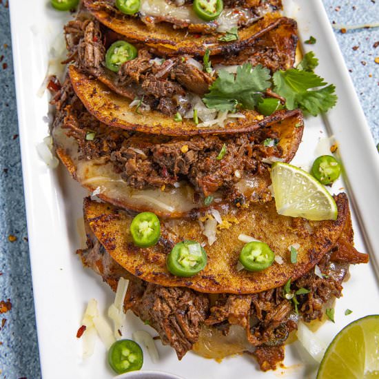 Quesabirria Tacos - Recipe photo by ChiliPepperMadness