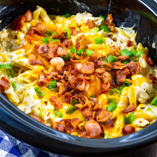 Slow Cooker Crack Chicken Pasta - Recipe photo by spicysouthernkitchen