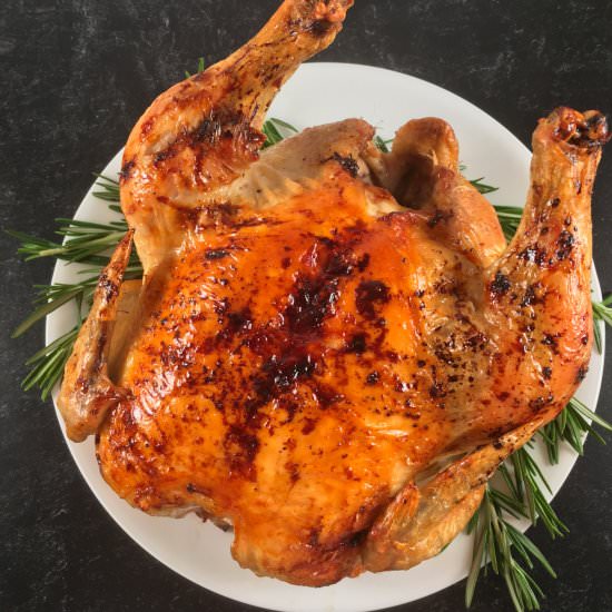 Ninja Foodi Whole Chicken Recipe - Recipe photo by summeryule.com