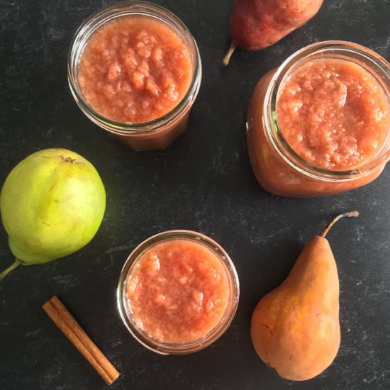 Best Applesauce Substitute - Recipe photo by summeryule.com