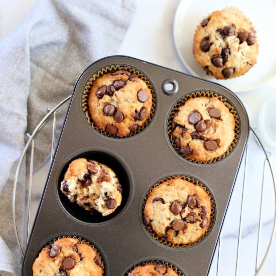 Healthy Chocolate Chip Muffins - Recipe photo by Delightful Mom Food