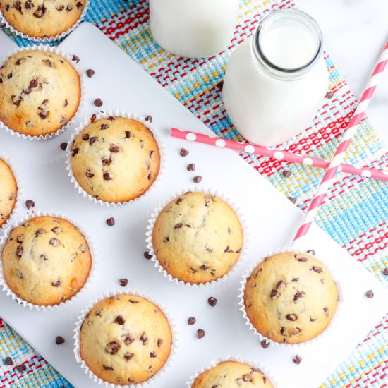 Easy Chocolate Chip Muffins - Recipe photo by EasyBudgetRecipes
