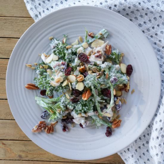 Fresh Broccolini Salad (mayo-free) - Recipe photo by Healthy.Sprinkles