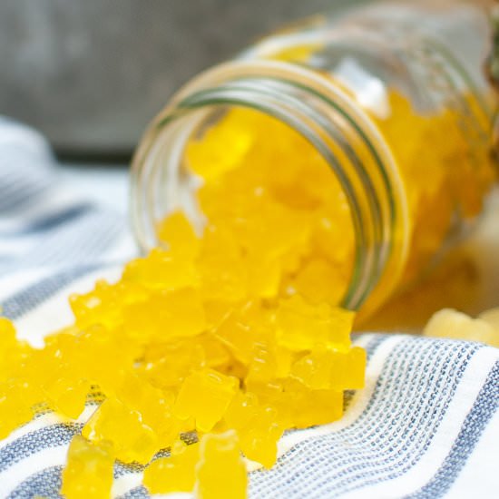 Homemade Pineapple Gummy Bears - Recipe photo by MasonJarRecipe