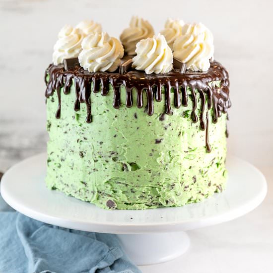 Mint Chocolate Chip Layer Cake - Recipe photo by bunsenburnerbakery