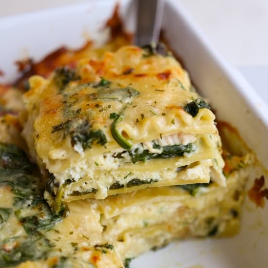 White Chicken Lasagna - Recipe photo by Small Town Woman