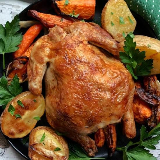 Air Fryer Cornish Hens - Recipe photo by agoudalife