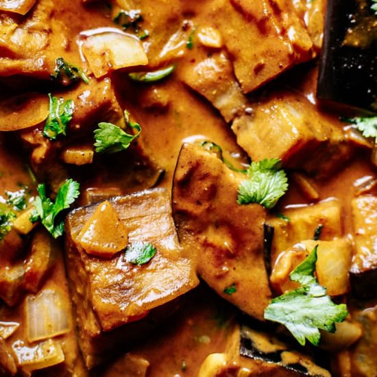 Creamy Aubergine Curry - Recipe photo by moon and spoon and yum.