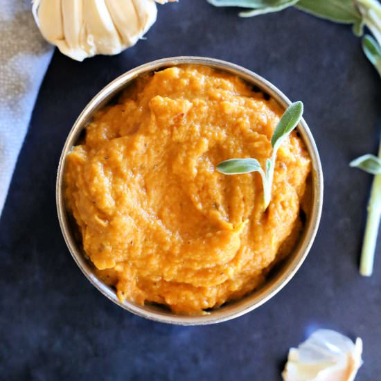 Vegan Butternut Squash Pasta Sauce - Recipe photo by Delightful Mom Food