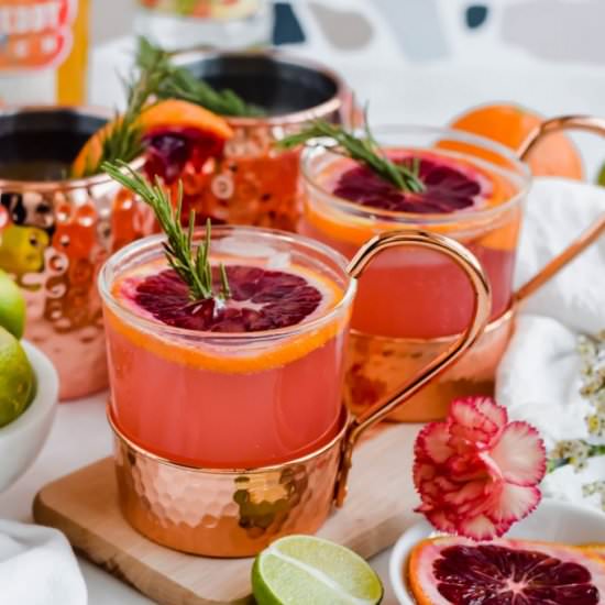Blood Orange Moscow Mule - Recipe photo by apaigeofpositivity
