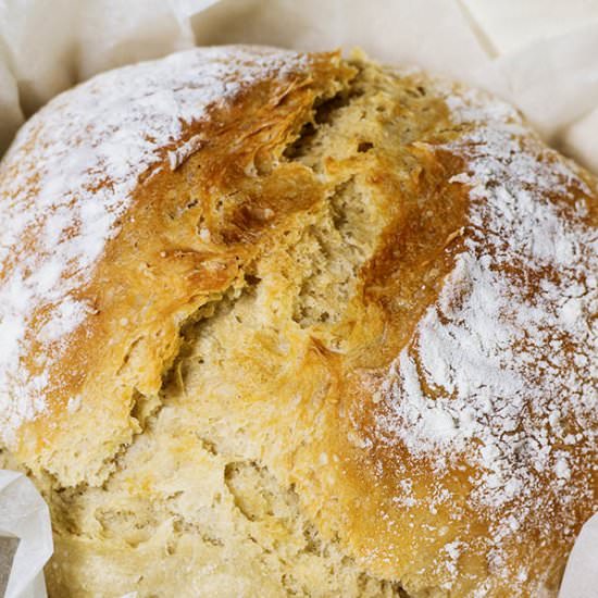 Homemade Artisan Bread - Recipe photo by amiablefoods