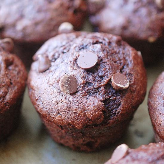 Sourdough double chocolate muffins - Recipe photo by evabakes