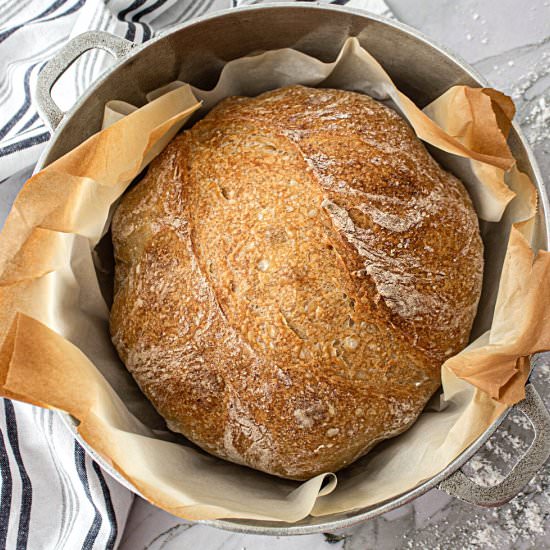 No-Knead Dutch Oven Bread - Recipe photo by wildandwhelm