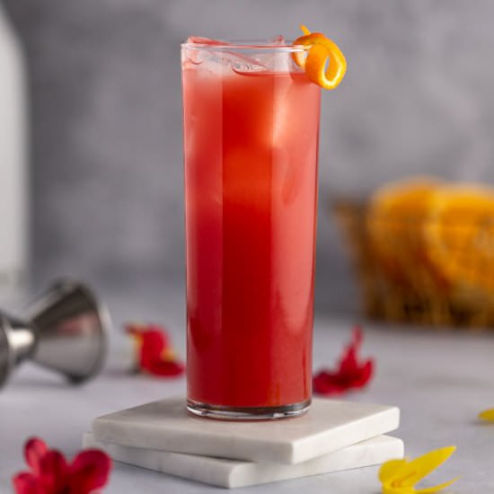 Madras Drink - Recipe photo by The Littlest Crumb