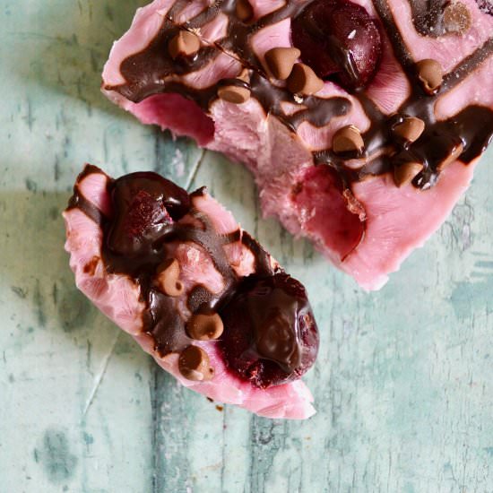 Cherry Choc Chip Frozen Yoghurt Bar - Recipe photo by Fiona Kennedy