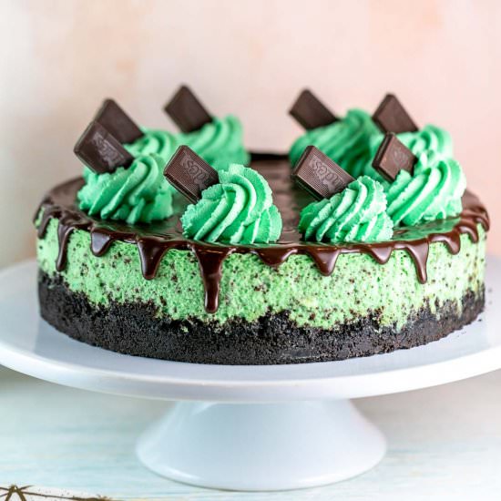 Mint Chocolate Cheesecake - Recipe photo by bunsenburnerbakery