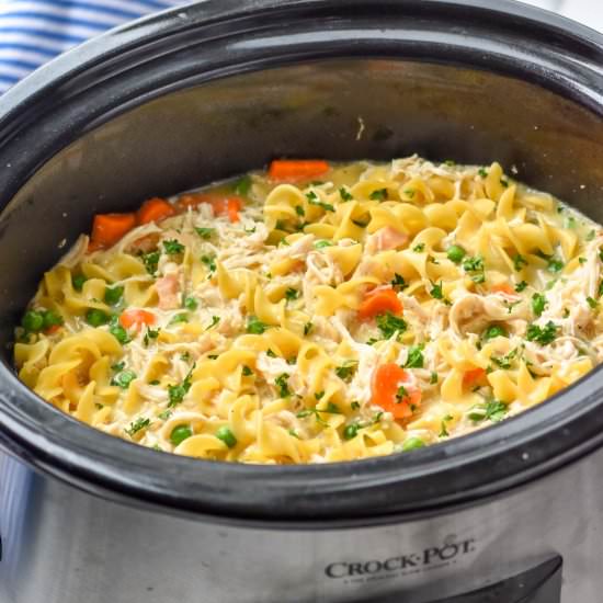 Crockpot Chicken and Noodles - Recipe photo by simplejoy